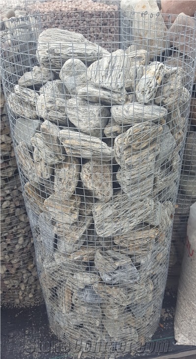 Gneis Tumbled Wood Stone, Wood Stone Pebbles