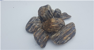 Gneis Tumbled Wood Stone, Wood Stone Pebbles