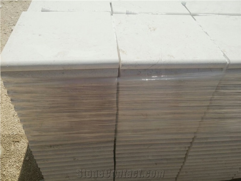 Shell Stone Pool Copig