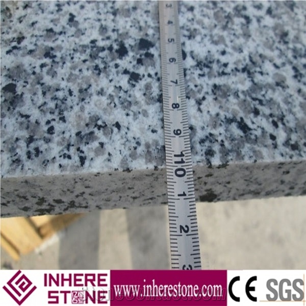 G640 Grey Granite Stairs & Steps, Black White Flower Granite Staircase, Padang Grigio Granite Stair Riser