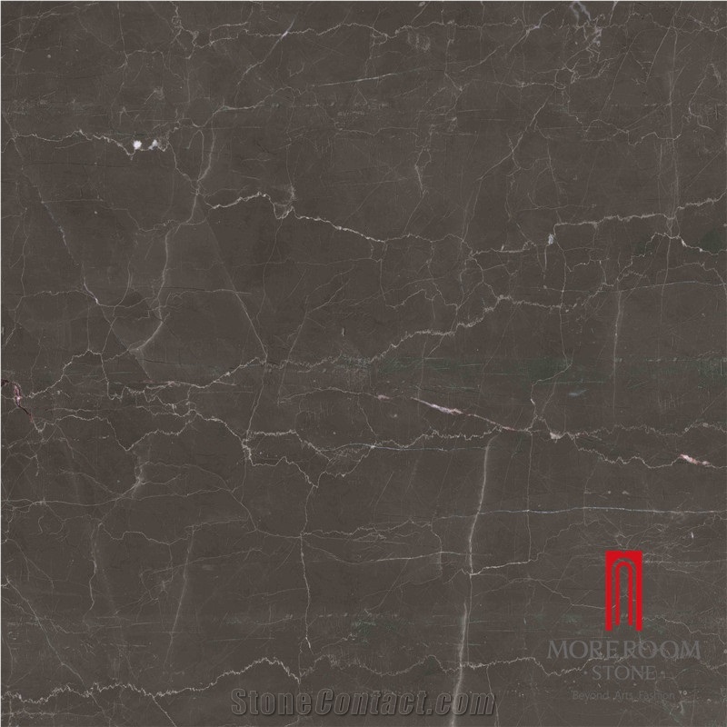 Polsihed Discontinued Italy Grey Porcelain Floor Tile Design
