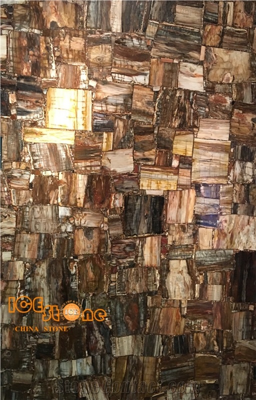 Brown/Golden Color Petrified Wood/Semi Precious Stone Panel/Tiles/Slabs/Wall/Floor/Backflash/Backlit