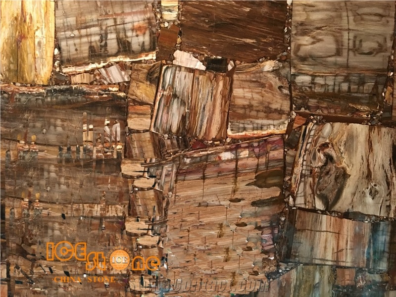 Brown/Golden Color Petrified Wood/Semi Precious Stone Panel/Tiles/Slabs/Wall/Floor/Backflash/Backlit