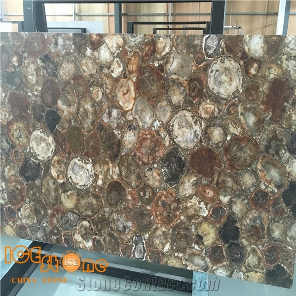 Brown/Golden Color Petrified Wood/Semi Precious Stone Panel/Tiles/Slabs/Wall/Floor/Backflash/Backlit