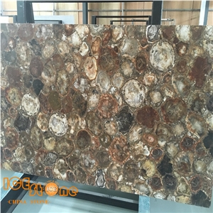 Brown/Golden Color Petrified Wood/Semi Precious Stone Panel/Tiles/Slabs/Wall/Floor/Backflash/Backlit
