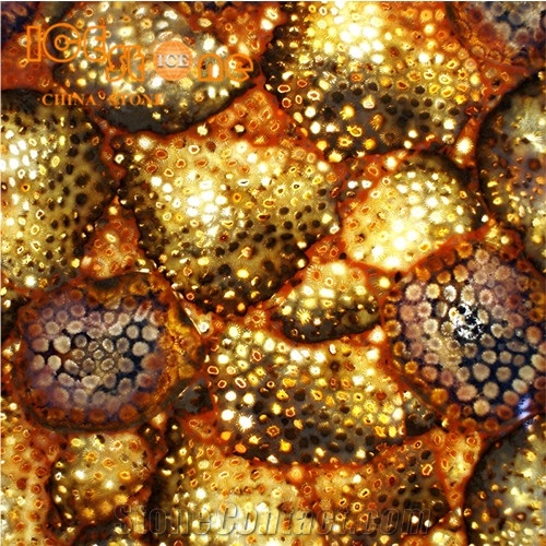 Daisy Fossil Backlit Semiprecious Stone Slabs/Wall Decoration Stone Tiles/Internal Precious Stone/Yellow Gemstone/Table Decoration Stone