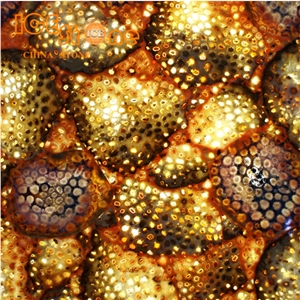 Daisy Fossil Backlit Semiprecious Stone Slabs/Wall Decoration Stone Tiles/Internal Precious Stone/Yellow Gemstone/Table Decoration Stone Daisy Fossil Backlit Semiprecious Stone Slabs/Wall Decoration Stone Tiles/Internal Precious Stone/Yellow Gemstone/Table Decoration Stone
