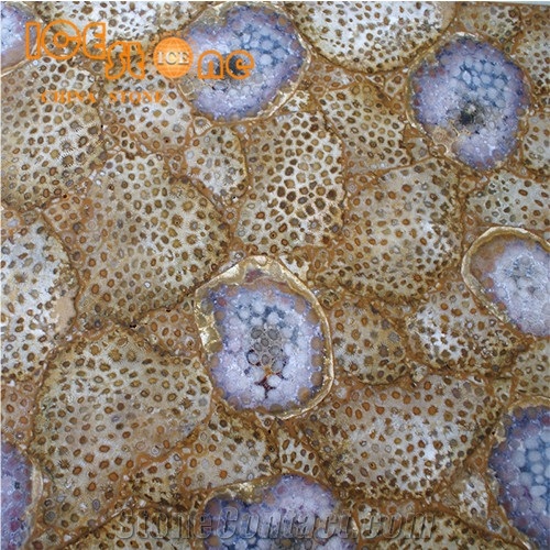 Daisy Fossil Backlit Semiprecious Stone Slabs/Wall Decoration Stone Tiles/Internal Precious Stone/Yellow Gemstone/Table Decoration Stone