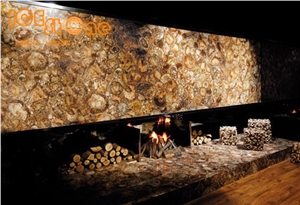 Fossil Wood Semiprecious Stone Slabs/Precious Stone Slabs Tiles/Gemstone Building Stone/Brown Semi Precious Stone Wall Decoration Slabs