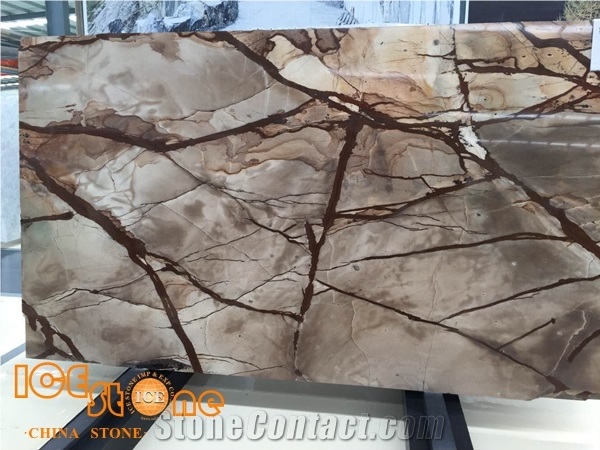 Good Price Brazil Quartzite Stone Wood Quartzite/Carpe Diem Quartzite Stone Tiles&Floors