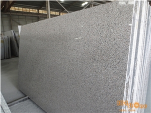 New G636 Gangsaw Granite Slabs & Tiles/New Anhai White Gangsaw Granite Slabs & Tiles/New G636 Granite Floor Tiles New G636 Gangsaw Granite Slabs & Tiles/New Anhai White Gangsaw Granite Slabs & Tiles/New G636 Granite Floor Tiles