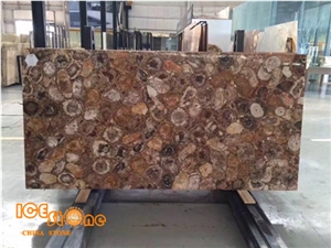 Pertrifid Wood Semiprecious Stone Slabs,Browm Gemstone Slabs