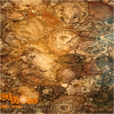 Pertrifid Wood Semiprecious Stone Slabs,Browm Gemstone Slabs