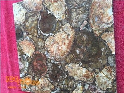 Pertrifid Wood Semiprecious Stone Slabs,Browm Gemstone Slabs