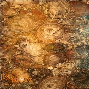 Petrified Wood/Chinese Semiprecious Slabs/Semiprecious Slabs