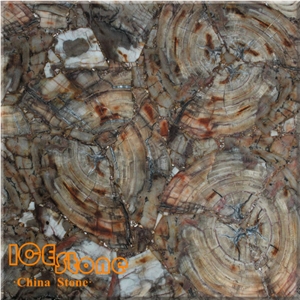 Petrified Wood/Cross Cut/Semi Precious Stone Panel/Semiprecious Slabs/Tiles/Wall/Backlit/Backflash