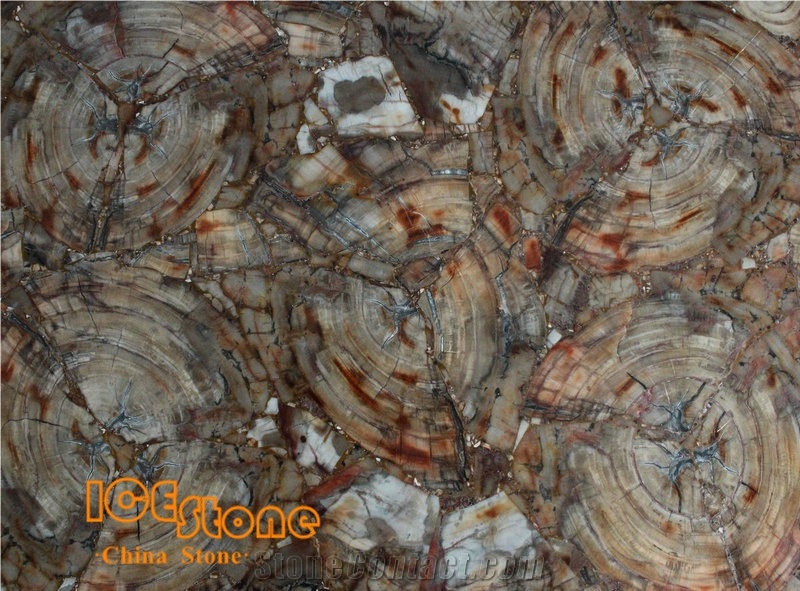 Petrified Wood/Semi Precious Stone Panel/Semiprecious Slabs/Tiles/Wall/Backlit/Backflash