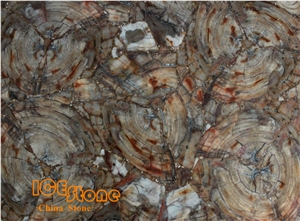 Petrified Wood/Semi Precious Stone Panel/Semiprecious Slabs/Tiles/Wall/Backlit/Backflash
