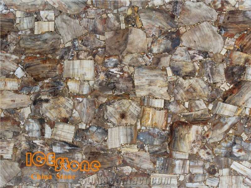 Petrified Wood with Sea Sheel/Semi Precious Stone Panel/Semiprecious Slabs/Tiles/Wall/Backlit/Backflash