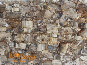 Petrified Wood with Sea Sheel/Semi Precious Stone Panel/Semiprecious Slabs/Tiles/Wall/Backlit/Backflash