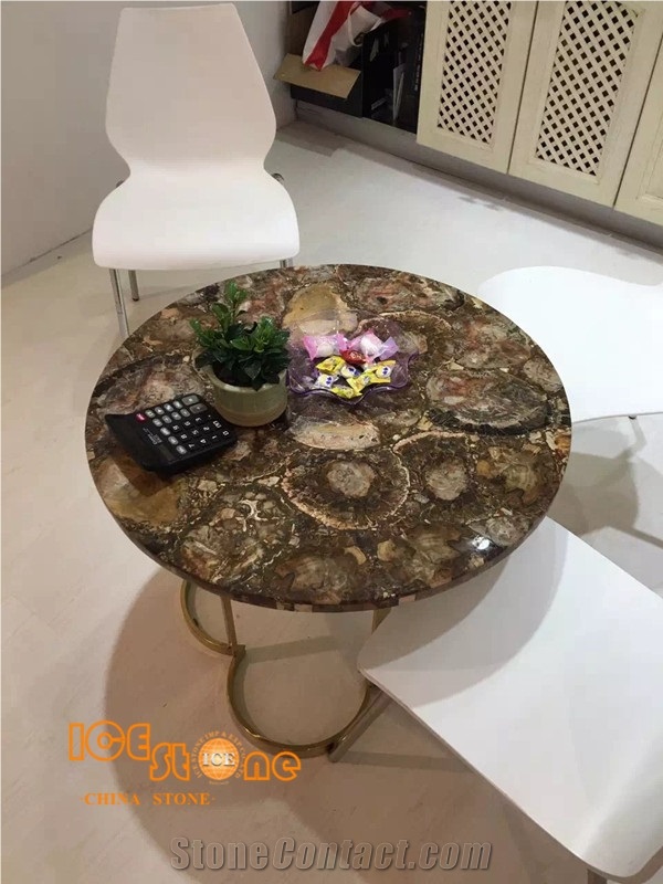 Yellow Fossil Semiprecious Slabs/Countertop/ Semi Precious Tiles/Gemstone Tiles/ Semiprecious Stone Tiles/Semi Precious Stone Panels/