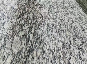 China Surf White Wave Flower White Sea Wave Polished Slabs Tiles