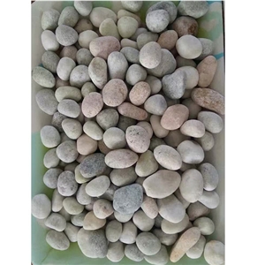 Light Multicolor Mixed Pebble Stone China Gravels Flat River Pebbles Walkway Pebble Pattern