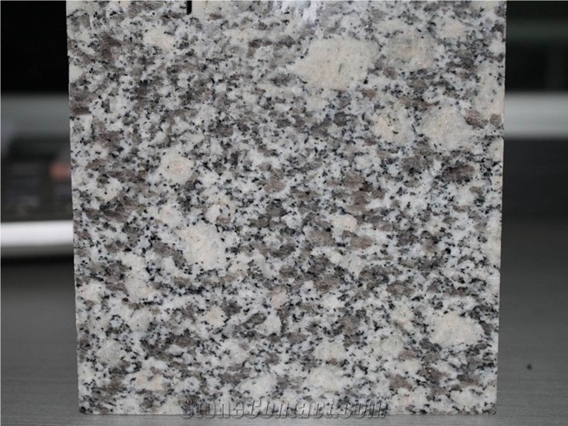 Cheapest China G602/Grey Sardo/Mayflower Snow/Snow Plum/Padang Champagne/Plum Blossom White/Sardinia Grey/Cristallo Grigio/New Bianco Sardo Granite Tiles & Slabs & Cut-To-Size for Flooring and Walling