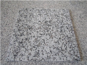 Cheapest Price High Quality G439/China Bianco Sardo/Big White Flower/Puning White Granite Tiles & Slabs & Cut-To-Size for Floor Covering and Wall Cladding,Own Factory Direct for Project/Hotel/House Cheapest Price High Quality G439/China Bianco Sardo/Big White Flower/Puning White Granite Tiles & Slabs & Cut-To-Size for Floor Covering and Wall Cladding,Own Factory Direct for Project/Hotel/House