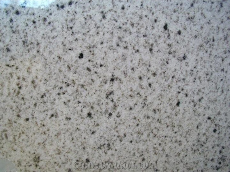 Own Factory Good Price American Bethel White,Hardwick White,Hartwick White,Lord White,Bianco Lord,Lord Granite Tiles & Slabs & Cut-To-Size for Flooring and Walling
