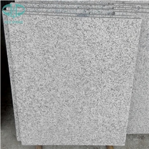 G603 Chinese Light Grey,Blanco Gamma,Padang White,Bacuo White,Crystal Grey,Sesame White Granite,Salt & Pepper Polished,Flamed Granite Tiles for Wall Covering/Granite Flooring Covering