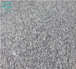 G623 Granite Tile/China Bianco Sardo/Haicang White/Rosa Beta/Seasame White,Grey Granite Tiles