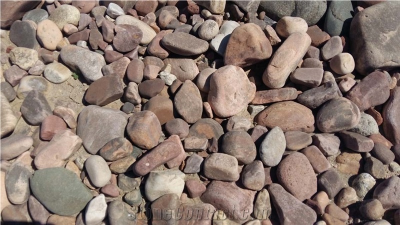 Color Mixed Pebble Stone