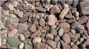 Color Mixed Pebble Stone