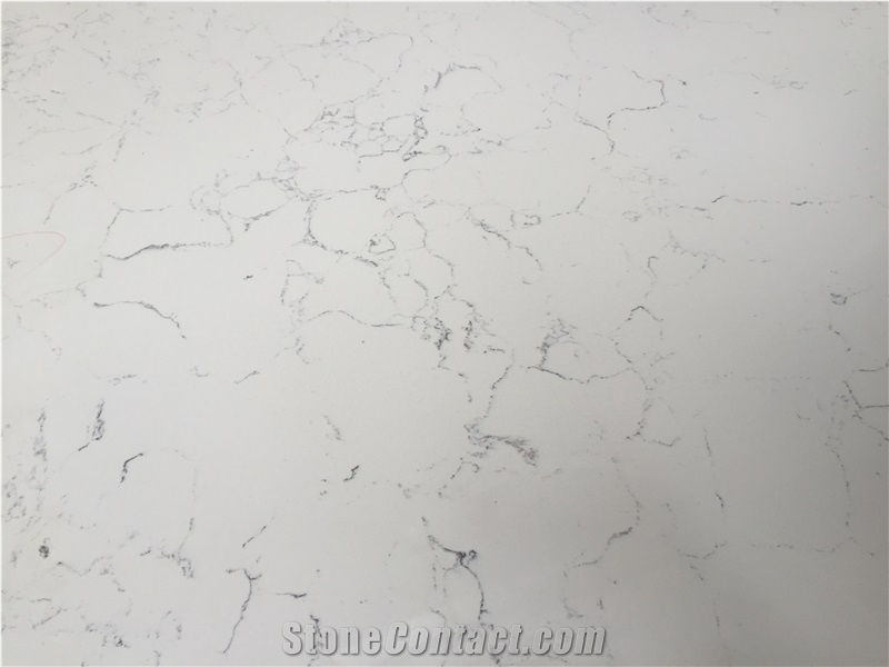 Carrara White D8001 High Quality Quartz Surface with Veined Movement for Laboratories, Healthcare Facilities and Food Preparation Environments