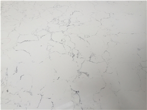 Carrara White D8001 High Quality Quartz Surface with Veined Movement for Laboratories, Healthcare Facilities and Food Preparation Environments