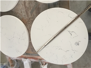 Carrara White D8001 High Quality Quartz Surface with Veined Movement for Laboratories, Healthcare Facilities and Food Preparation Environments