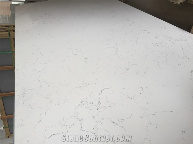Carrara White D8001 High Quality Quartz Surface with Veined Movement for Laboratories, Healthcare Facilities and Food Preparation Environments