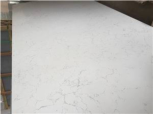 Carrara White D8001 High Quality Quartz Surface with Veined Movement for Laboratories, Healthcare Facilities and Food Preparation Environments