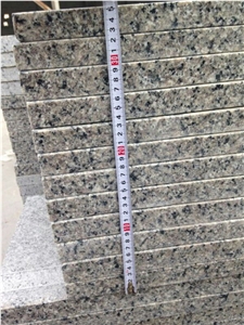 Swan White Granite Stair, Step with Riser, Grey Granite