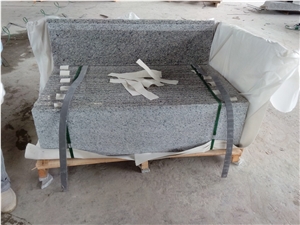 Swan White Granite Stair, Step with Riser, Grey Granite