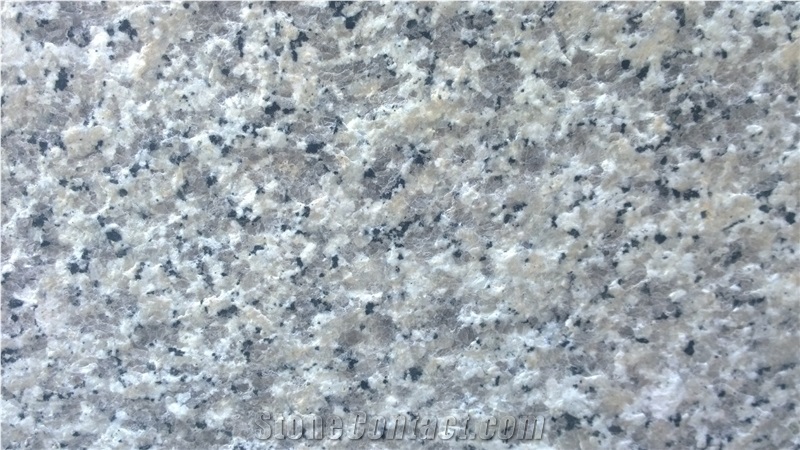 Bianco Stellato Granite Slabs & Tiles