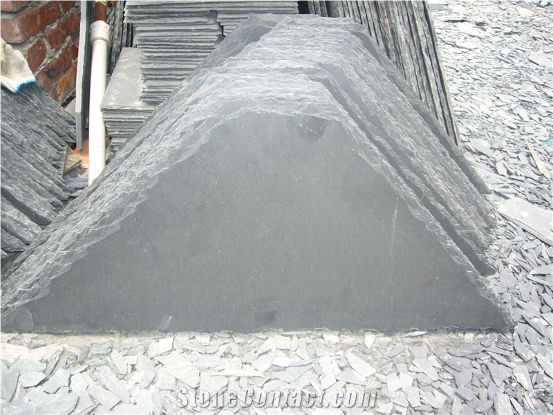 China Black Slate Slabs & Tiles