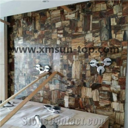 Brown Petrified Wood Precious Stone Tiles&Slabs, Brown Fossil Gemstone Walling Tile, Semi-Precious Stone Slabs for Wall&Flooring, Decoration Stone Slabs
