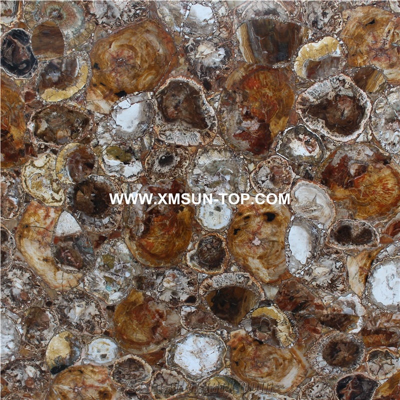 Brown Petrified Wood(Round Wood) Semiprecious Stone/Brown Semi-Precious Stone Slab&Tile&Customized/Semi Precious Stone Slab for Wall Cladding&Flooring/Semi-Precious Stone Panel/Interior Decoration