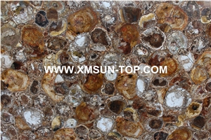 Brown Petrified Wood(Round Wood) Semiprecious Stone/Brown Semi-Precious Stone Slab&Tile&Customized/Semi Precious Stone Slab for Wall Cladding&Flooring/Semi-Precious Stone Panel/Interior Decoration