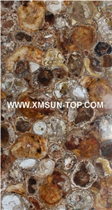 Brown Petrified Wood(Round Wood) Semiprecious Stone/Brown Semi-Precious Stone Slab&Tile&Customized/Semi Precious Stone Slab for Wall Cladding&Flooring/Semi-Precious Stone Panel/Interior Decoration