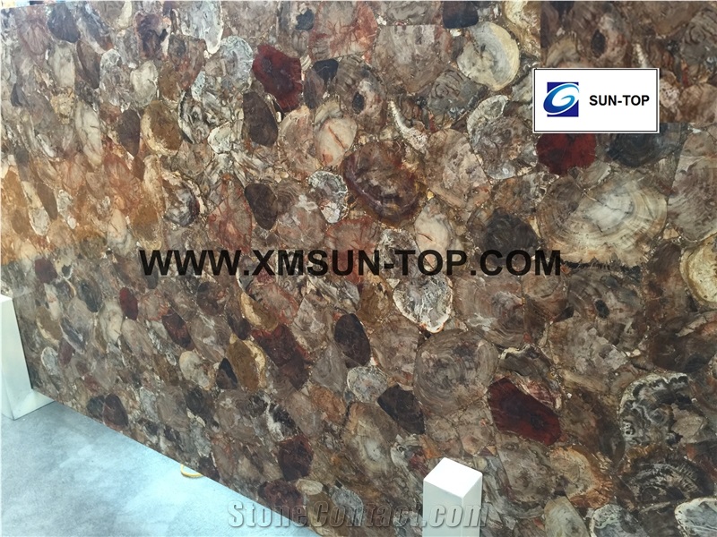 Brown Petrified Wood(Round Wood) Semiprecious Stone/Brown Semi-Precious Stone Slab&Tile&Customized/Semi Precious Stone Slab for Wall Cladding&Flooring/Semi-Precious Stone Panel/Interior Decoration