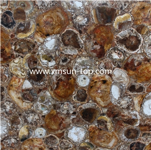 Brown Petrified Wood Semiprecious Stone Slabs&Tiles, Brown Precious Stone Panels, Semi Precious Stone Slab, Fossilized Wood Brown Gemstone Slab for Table Tops,Work Desk, Fireplace, Interior Decoration