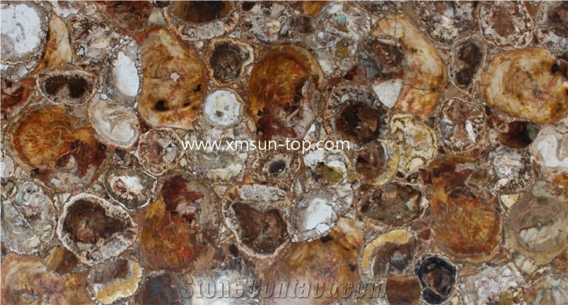 Brown Petrified Wood Semiprecious Stone Slabs&Tiles, Brown Precious Stone Panels, Semi Precious Stone Slab, Fossilized Wood Brown Gemstone Slab for Table Tops,Work Desk, Fireplace, Interior Decoration